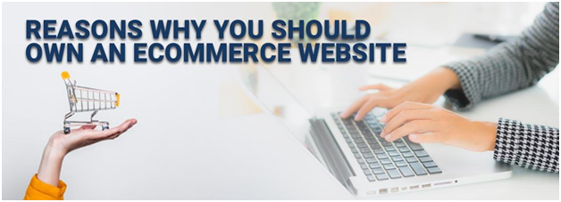 Reasons Why You Should Own an eCommerce Website 2020