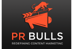 pr_bulls_portfolio